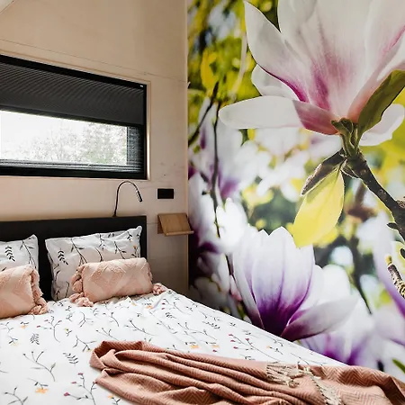 Greenfloat #2 * Boskoop